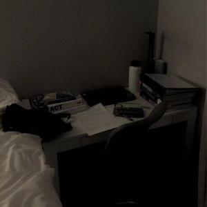 国产真实对白久久
